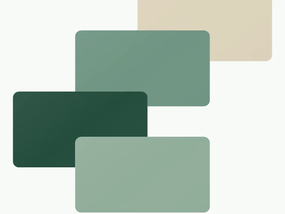Feed Scroll
